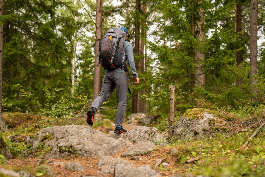 man-trekking-in-forest