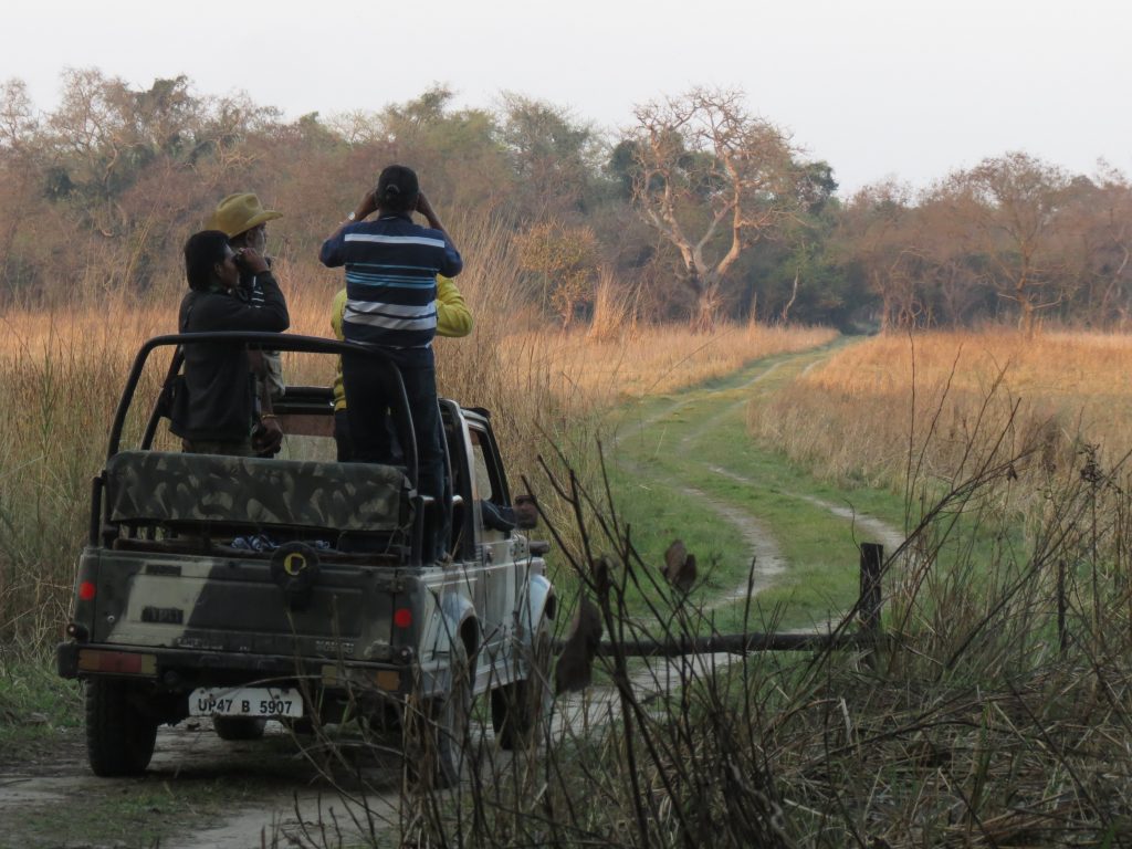 Dudhwa-National-Park-Safari-Tern-Travellers