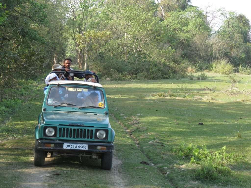 Dudhwa-National-Park-Safari-Tern-Travellers
