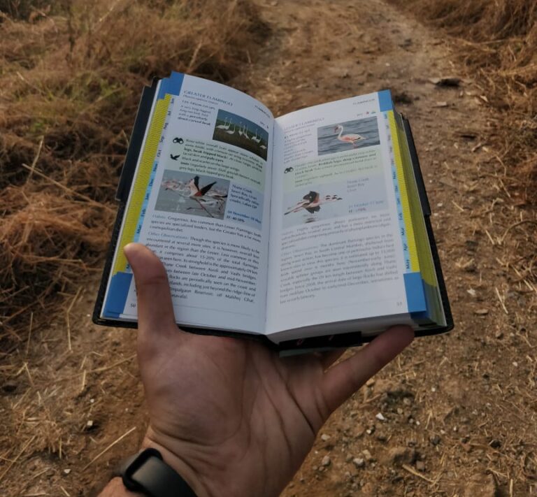 wp-16558865302905304082878489562527 Bird-Guide-book-used-on-walk