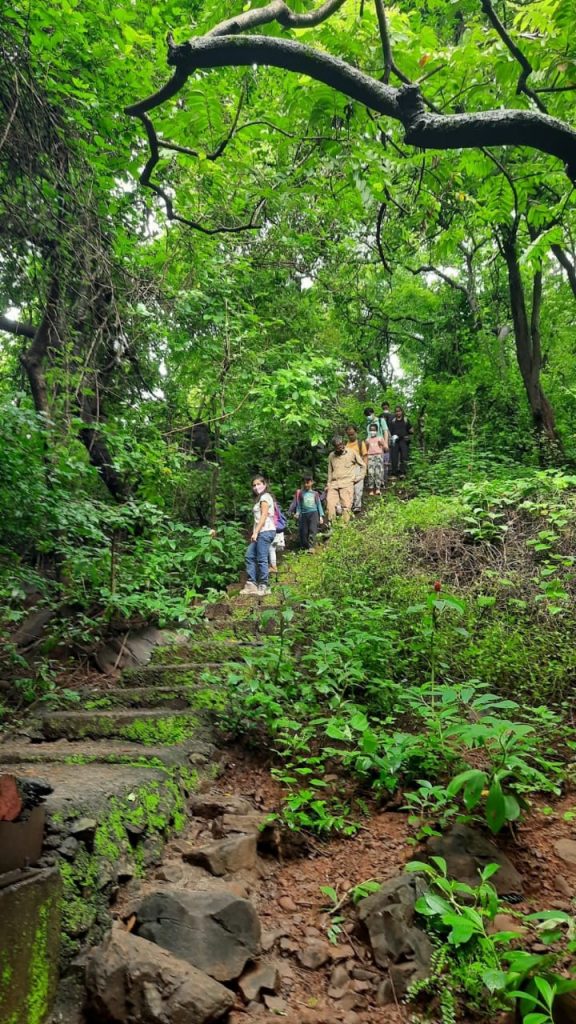 Forest-Walk-CEC-Tern-Travellers-2