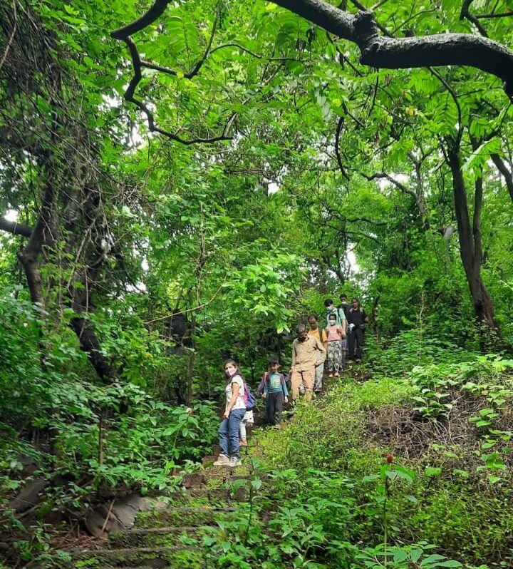 wp-16559117620141795026380495832421 Forest-Walk-CEC-Tern-Travellers-2