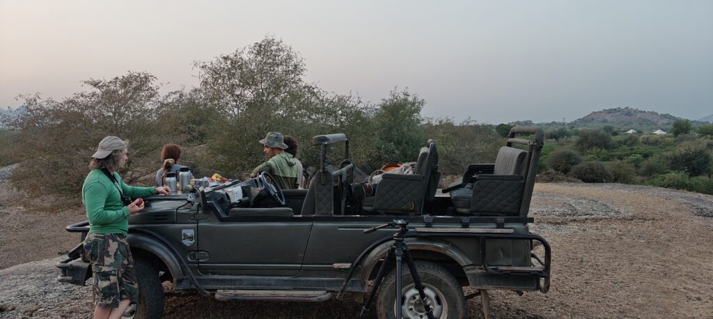 Jawai-leopard-safari