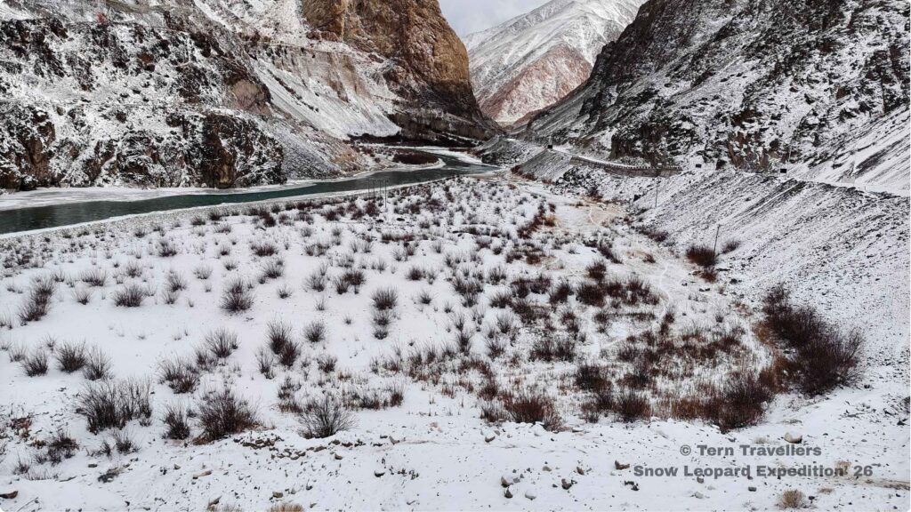 snowy-landscape-mountainous-region-in-the-himalayan-range-Snow-Leopard-Expedition